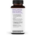 thumbnail image 3 of LifeSeasons Immuni-T - Immune Support Supplement - Immunity System Booster - Natural Cold & Flu Relief - Elderberry, Echinacea, Andrographis, Arabinogalactans & Olive Leaf - 90 Capsules, 3 of 5