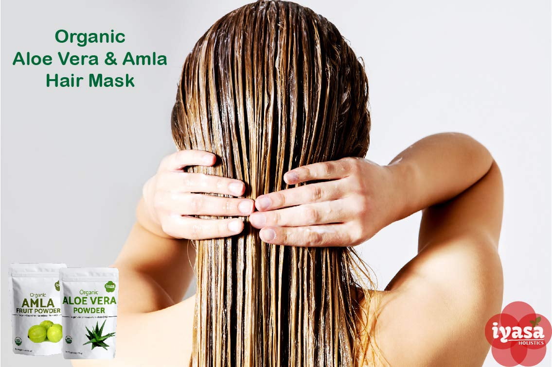 Iyasa Holistics Aloe Vera Powder for DIY skin and Hair Care, Pack of 16 oz
