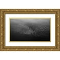 thumbnail image 1 of Chang, Phillip 24x15 Gold Ornate Wood Framed with Double Matting Museum Art Print Titled - Morning Flight, 1 of 4
