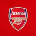 thumbnail image 3 of Arsenal FC Boys Crest Polo Shirt, 3 of 5