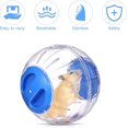 thumbnail image 5 of Jinsinto Transparent Cute Animal Hamster Exercise Ball Mini Trot Plastic Toys (Blue), 5 of 5