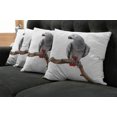 thumbnail image 5 of Ambesonne Grey Throw Pillow Cover 4 Pack, Parrot on a Branch, 18", Multicolor, 5 of 5