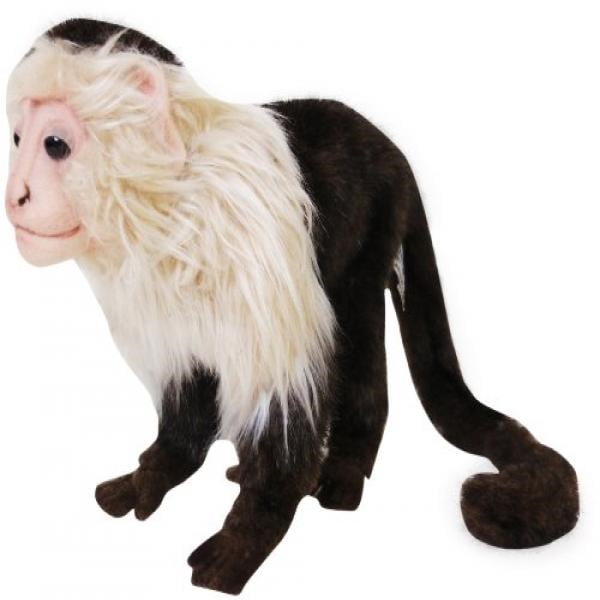 capuchin monkey stuffed animal