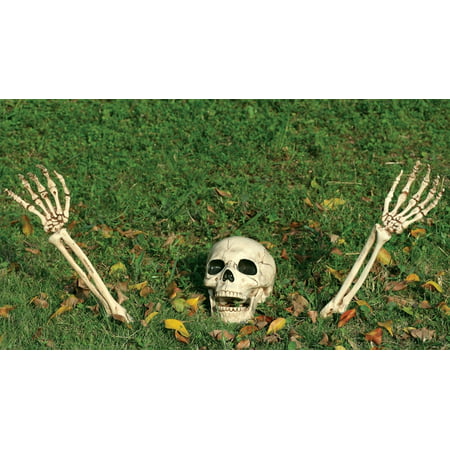 Buried Alive Skeleton Prop