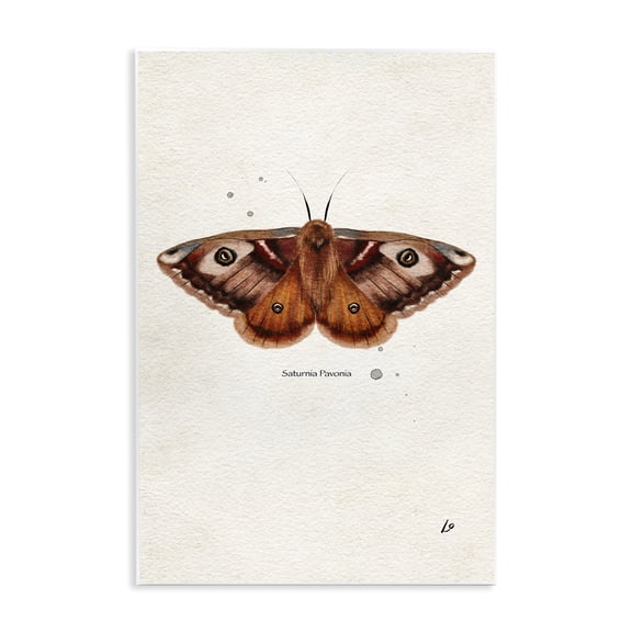 Stupell Industries Scientific Orange Moth Insects Painting Unframed Art Print Wall Art, 10 x 15