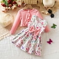 thumbnail image 2 of Gaexia Girls Long Sleeve Outfits Floral Print Dress Delicate Bow Detail Winter Party Play Outfit 2 Piece,Pink,12-18 Months, 2 of 9