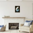 thumbnail image 3 of Stupell Industries Dark Nautilus Shell Nature Painting White Framed Art Print Wall Art, 16 x 20, 3 of 9