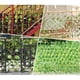 thumbnail image 4 of Cerca natural de la planta extensible de la decoración del jardín de las verjas del patio realista de los 40CM, 4 of 8