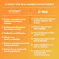thumbnail image 5 of Synergy The Real Kombucha Gingerade, 16 fl oz, 5 of 9