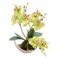 thumbnail image 1 of Bonsái de phalaenopsis de tres puntas, planta decorativa de flores artificiales, planta verde en maceta, decoración del hogar, 1 of 5