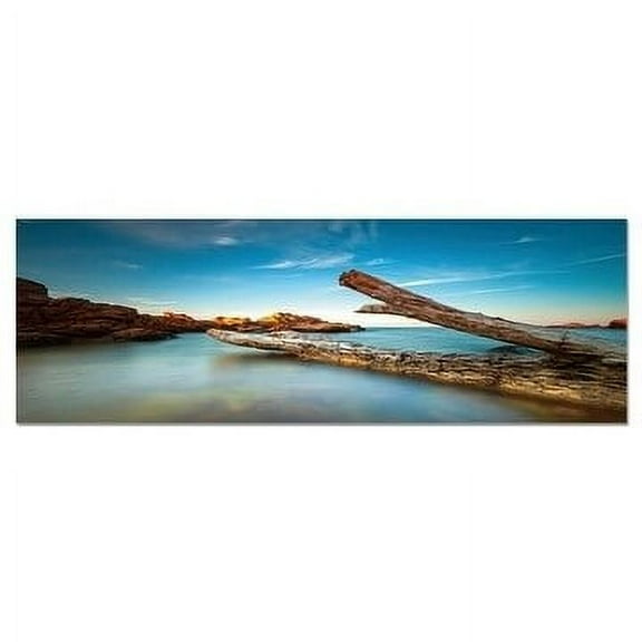 Epic Graffiti "Driftwood Dreams" in a High Gloss Acrylic Wall Art, 60" x 20" - 60" x 20"