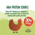 thumbnail image 3 of Premio para aves de corral Manna Pro gusanos de la harina 2,3 kg proteína natural, 3 of 6