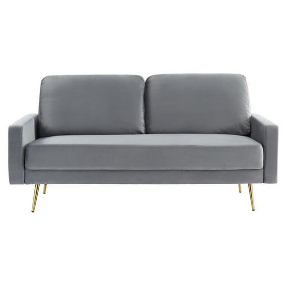 Pemberly Row Modern Velvet and Metal Upholstered Sofa in Gray/Gold