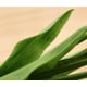 thumbnail image 4 of 12 tulipanes artificiales de color rosa claro, flores de plástico falsas, decoración para bodas, fiestas, hogar y oficina., 4 of 5