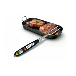 Sharper Image All-in-One Grill Fork with Meat and Fish Thermometer on eBid  United States