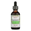 Quantum Super Lysine Plus Liquid Extract 2 fl oz Pack of 2