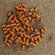 thumbnail image 2 of Etiqueta de Del de La Pierna de Que Compite con de 100 Pedazos con El Nombre Y El Número Del Lugar Amarillo Soledad Anillo de pata de paloma de carreras, 2 of 10