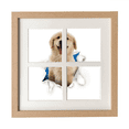 thumbnail image 1 of Cadre Mural Ou de Table pour Chiots en Papier Animal avec 4 Ouvertures pour Photos, 1 of 3