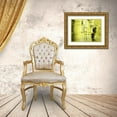 thumbnail image 3 of PI Studio 18x15 Gold Ornate Wood Framed with Double Matting Museum Art Print Titled - VERT LIME, 3 of 4