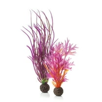 biOrb Medium Red & Pink Plant Set - Aquarium Plant Decoration