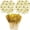 Gold, variant on 100pcs Roostertail Fireworks Drinking Picks Sticks for Party Decoration, Party Fruit Toothpicks, Food Sticks, Party Decoration Supplies, Kitchen Supplies, Festive Supplies