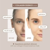 Original Derma Beauty 12 Pack Ultra Moisturizing Coconut Collagen ...