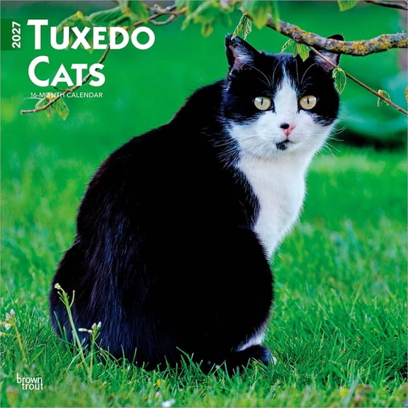 Tuxedo Cats | 2027 12x24" (Hanging) Wall Calendar | Plastic-Free
