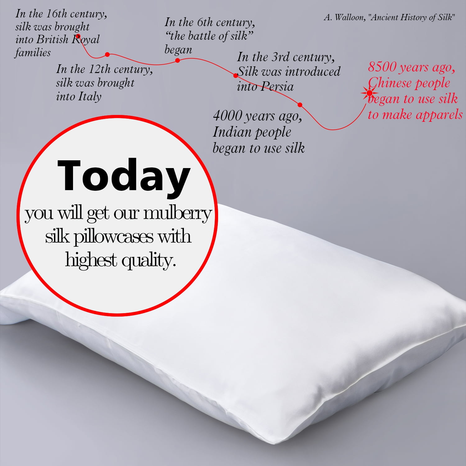 Ntbay 1 Pack 100% Mulberry Silk Queen Pillowcase with Hidden Zipper, Luxurious Both Side 19 Momme Pillow Case, 20" x 30", White