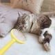 thumbnail image 4 of RKSTN cat Grooming Brush Pet Grooming Brush Double Sided Shedding And Dematting Undercoat Rake Comb For Dogs And Cats Extra Wide Dog Grooming Brush Dog Shedding Brush, 4 of 7