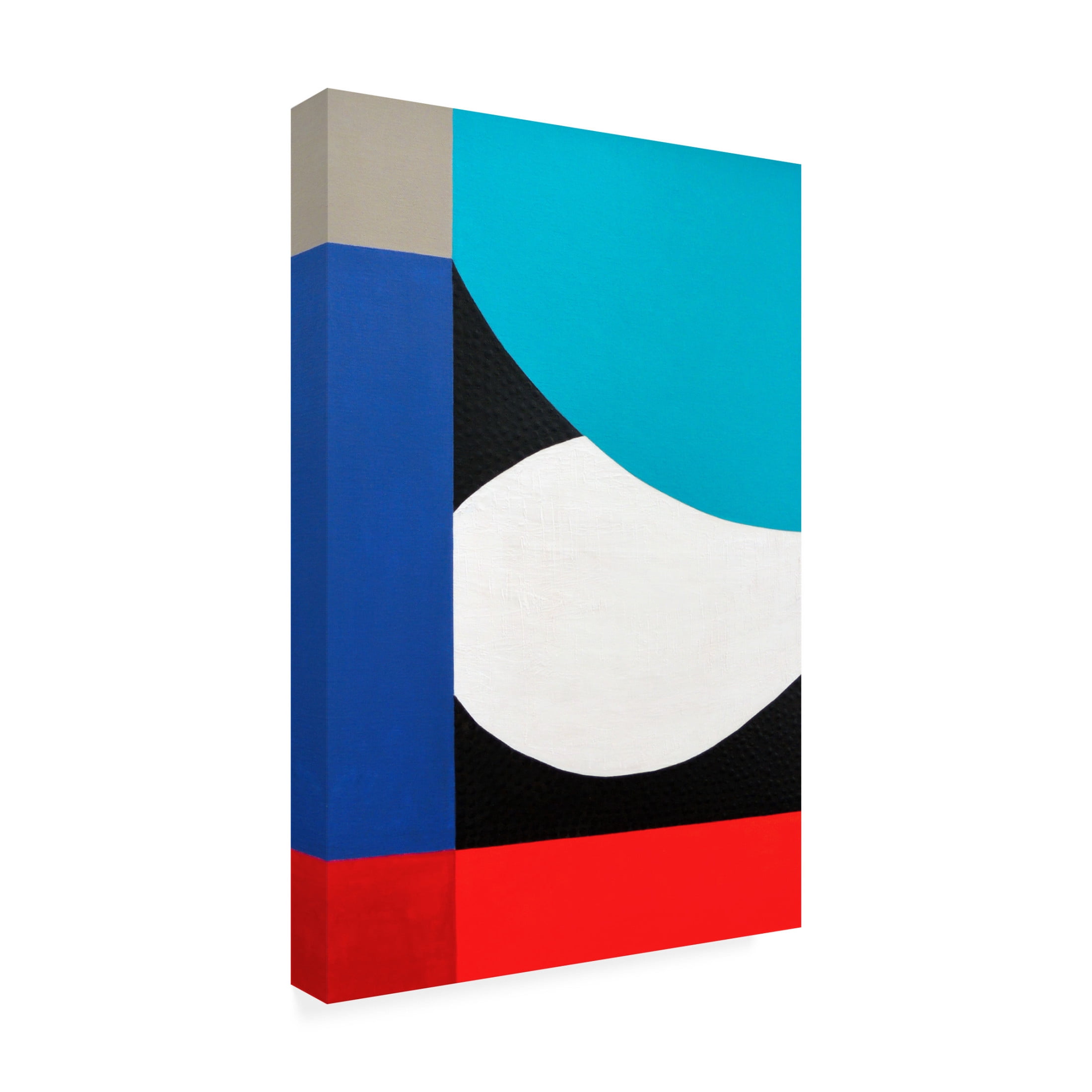 Canvas Wall Art - Sylvie Hamou 'A Colorful Existence III' Wall Art for Living Room, Bedroom, or Office Décor by Trademark Fine Art - 12 x 19 Inches