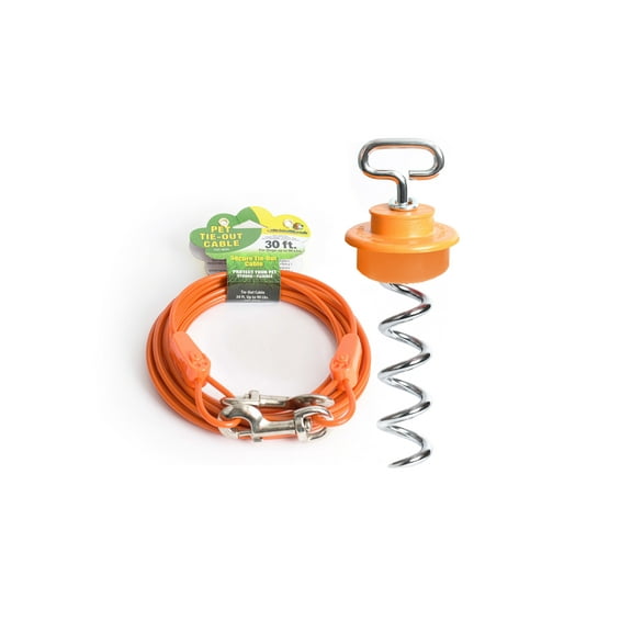 Intelli-Stayk with 30 Foot Tie-Out Cable for Dogs up to 90 Pounds