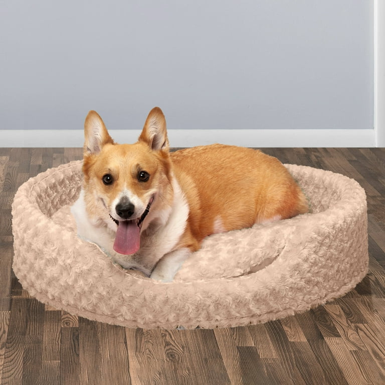 Oval dog bed large hotsell