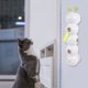thumbnail image 5 of Worm Post Toy Wuselwurm Cat Activado Con Cola Automática Emergente, 5 of 9