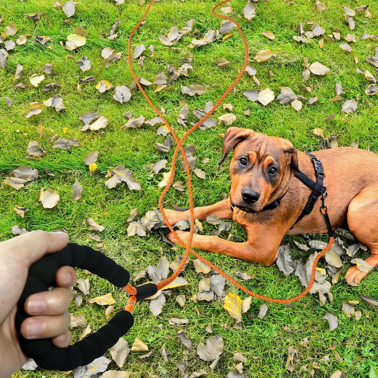 15 foot cheap dog lead