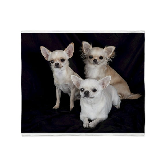 CafePress - Adorable Chihuahuas Throw Blanket - Soft Fleece Throw Blanket, 50"x60" for All Ages