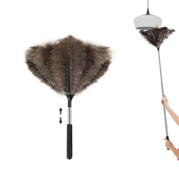 Reusable Natural Ostrich Feather Duster,QZS Extendable Long Handle Cleaning Supplly for Household Cleaning,Roof Dusting Use