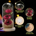 thumbnail image 3 of Girasol artificial con cúpula de vidrio Laklulu con tira de LED: un regalo navideño para familiares y amigas, 3 of 5