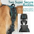 thumbnail image 4 of rabbitgoo No-Pull Pet Harness with 2 Leash Clips  Adjustable Soft Padded  Reflective No-Choke Pet Oxford Vest with Easy Control Handle for Large Dogs  Pink  L, 4 of 9