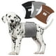 thumbnail image 1 of Set de 3 Pañales para Perro Macho Mascretta Super Absorbentes Reusables, 1 of 6