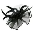 thumbnail image 2 of TODOZO Fascinators Hats for Tea Party Women Girls Flower Feathers Mesh Hat for Cocktail Party Church Wedding Women Hat Headwear Church Feather Clip Fascinators Hat Wedding Cap for Black One Size, 2 of 3