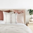 thumbnail image 5 of Cotton Slub Textured Throw Pillow in Framed Farmhouse Stripe by Comfort Canopy, 5 of 14
