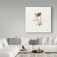 thumbnail image 3 of Trademark Fine Art 'Thoughtful Blooms IV' Canvas Art by Katie Pertiet, 3 of 3