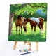 thumbnail image 4 of Pájaro caballo lienzo pintura por números aceite pintado a mano dibujo Kit decoración del hogar, 4 of 9