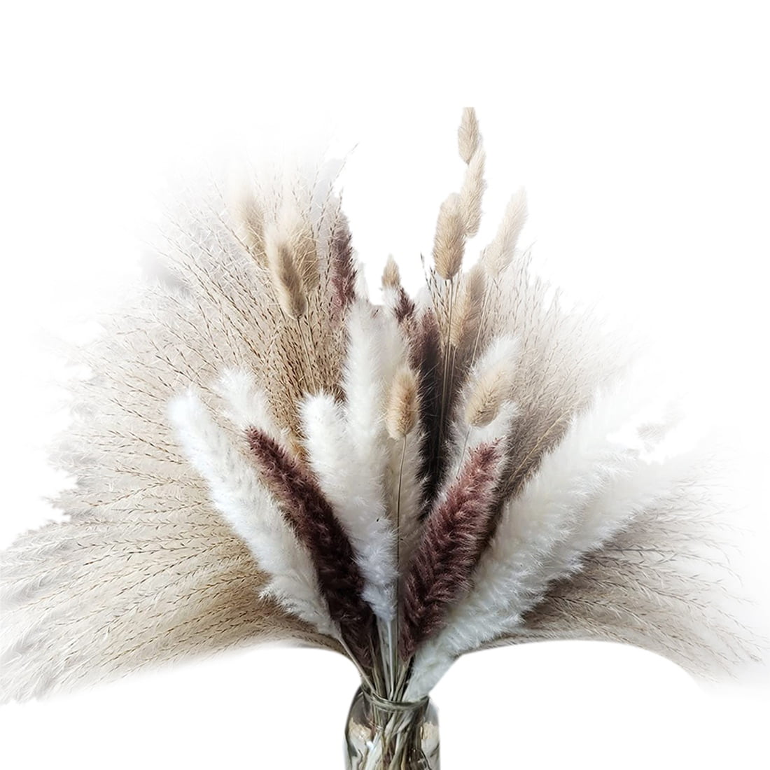 Pampas Grass 80 Pcs 17 Inch Natural Dried Pampas Grass