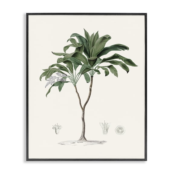 Stupell Industries Coastal Palms Vintage Black Framed Giclee Art, design by Val Rhodes