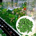 thumbnail image 6 of 100 Pcs Model Trees, Miniature Landscape Scenery Trees Model Train Railroad Diorama Scenery Landscape for HO OO Scale 65mm Railroad Architecture Scenes, 6 of 9