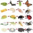 thumbnail image 3 of 40X Figuras de de Vida de Mariposa Araña Abeja Mariquita Libélula Insectos de Plástico Figuras de Insectos Juguete Proyecto Escolar para Niños, 3 of 5