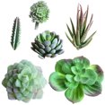 thumbnail image 2 of 6 Pcs Plante Succulente Artificielle Décorative Réaliste Fausse Plante, 2 of 9