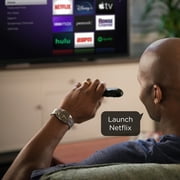 Roku Voice Remote - NEW