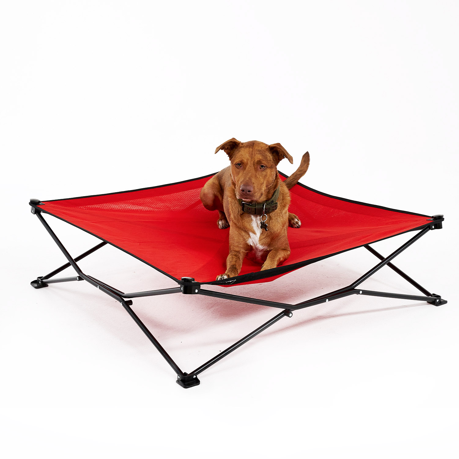 Coolaroo On the Go Elevated Travel Dog Bed, King, Red